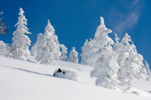Backcountry Powder Guides in Japan